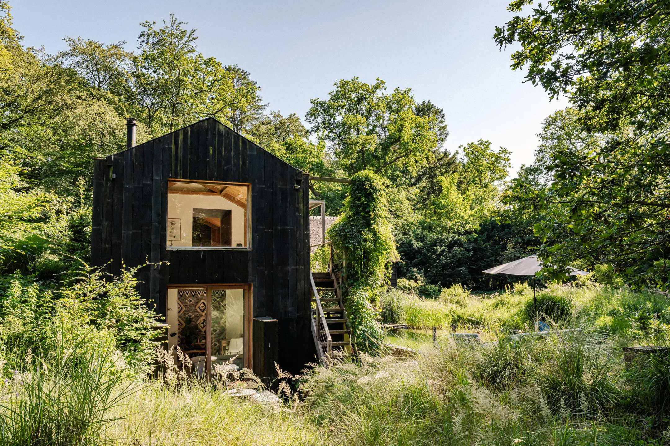 maison contemporaine en bois avec piscine écologique et naturelle maison contemporaine en bois avec piscine écologique et naturelle