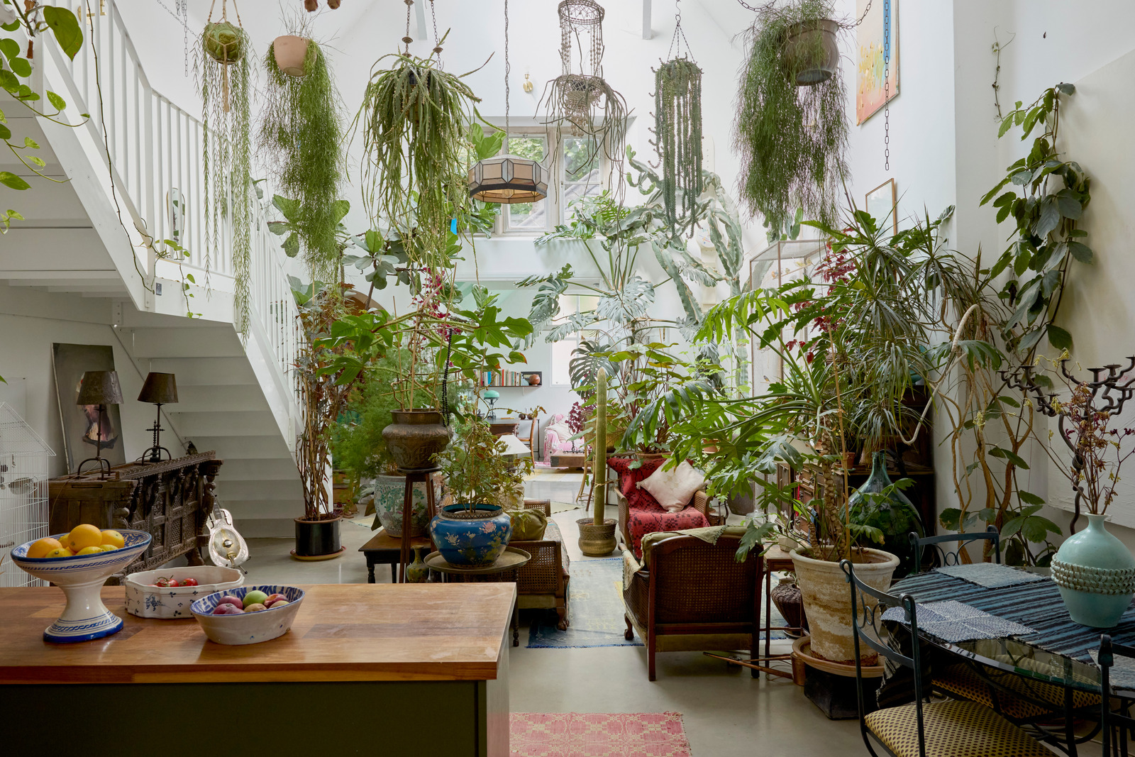 salon avec plantes décoration vintage maison dans ancienne école victorienne Londres