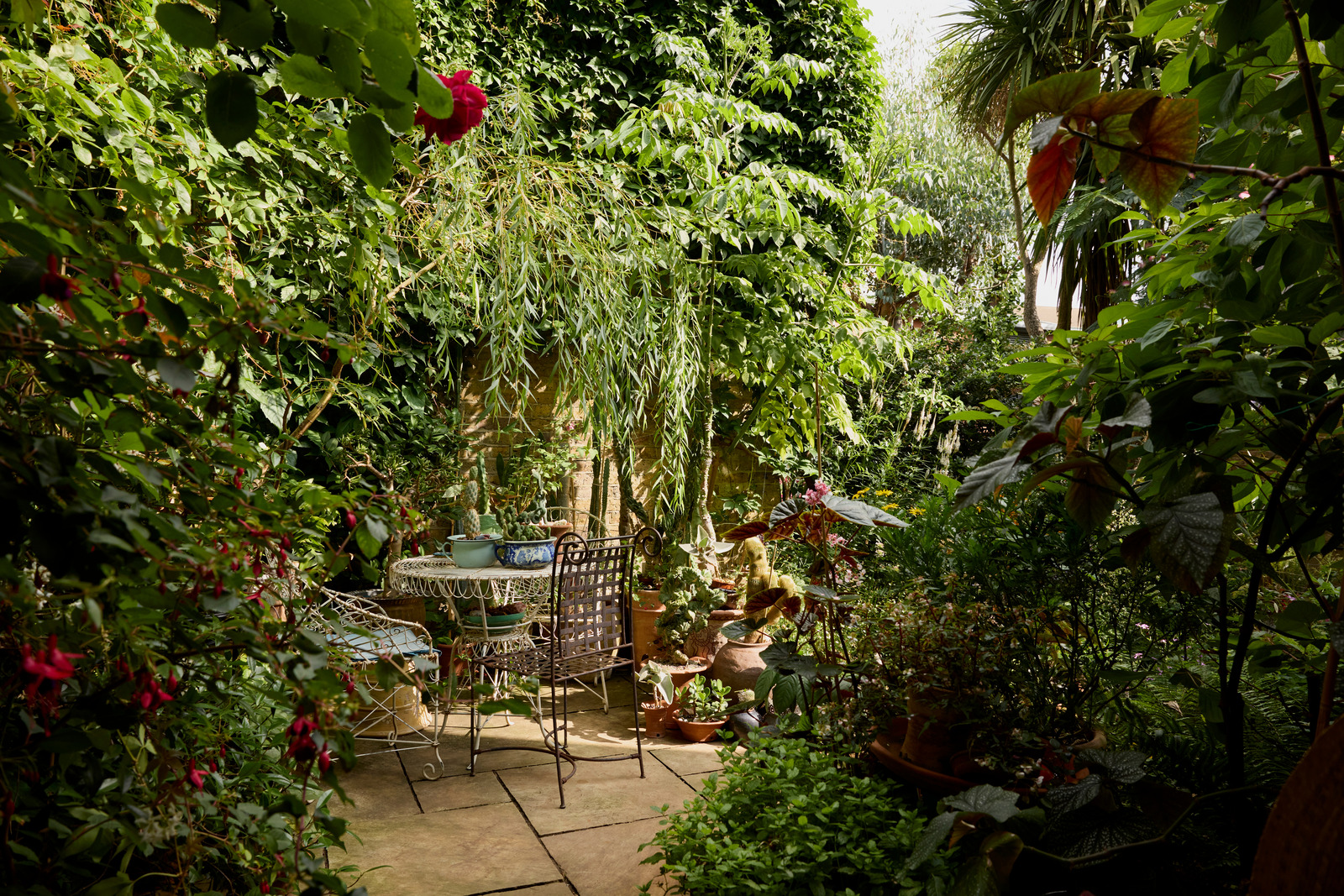 jardin de ville maison dans ancienne école victorienne Londres