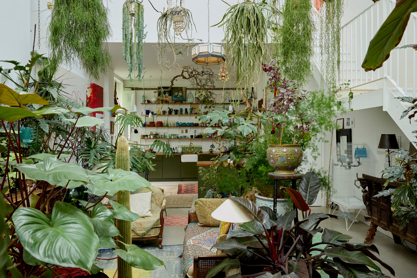 salon avec plantes décoration vintage maison dans ancienne école victorienne Londres
