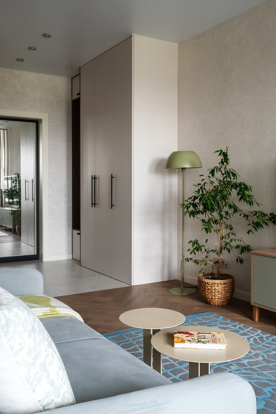 living room and entryway contemporary decor 39sqm studio with wooden partition