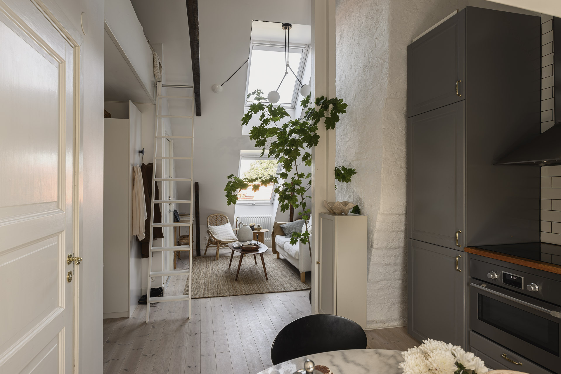 salon et cuisine décoration scandinave studio mansardé 24m2 avec mezzanine