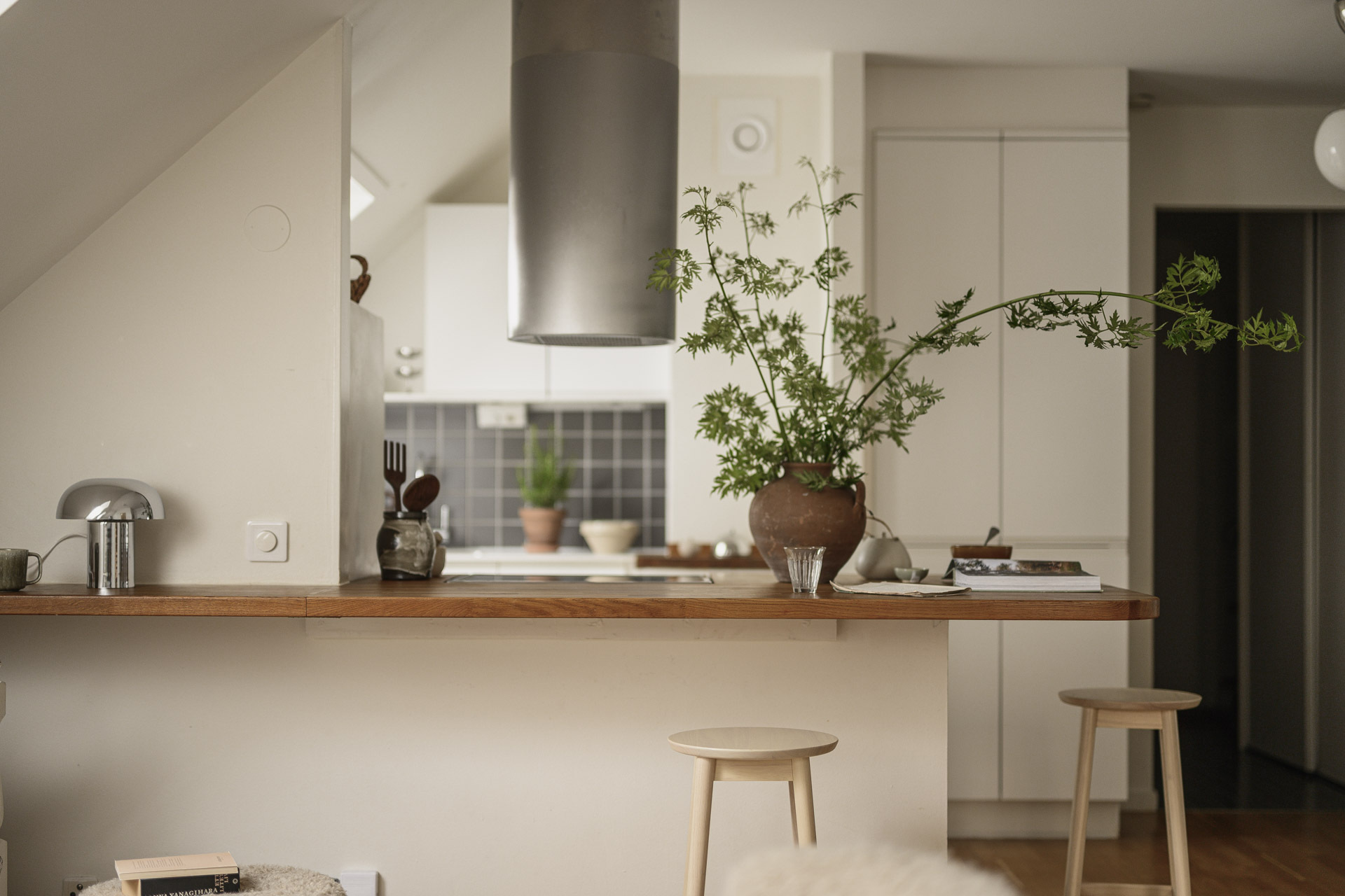 cuisine ouverte décoration scandinave appartement 49m2