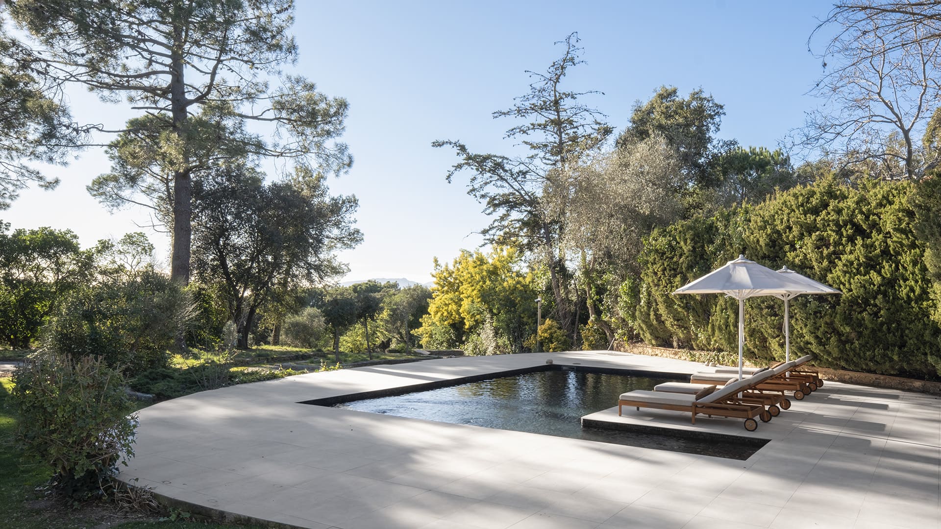 jardin avec piscine maison Espagne "Refuge in the Woods" par Susanna Cots