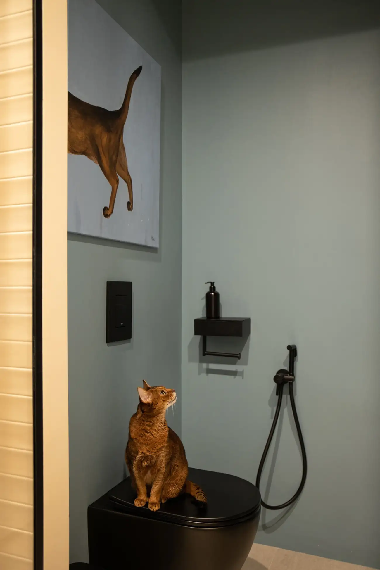 toilettes design chat roux studio 28m2