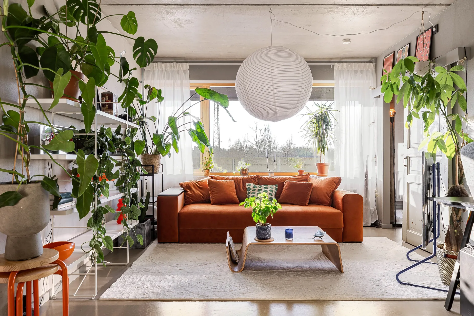 living room with orange velvet sofa and green plants concrete floor walls and ceiling 48sqm two-room apartment Scandinavian decor