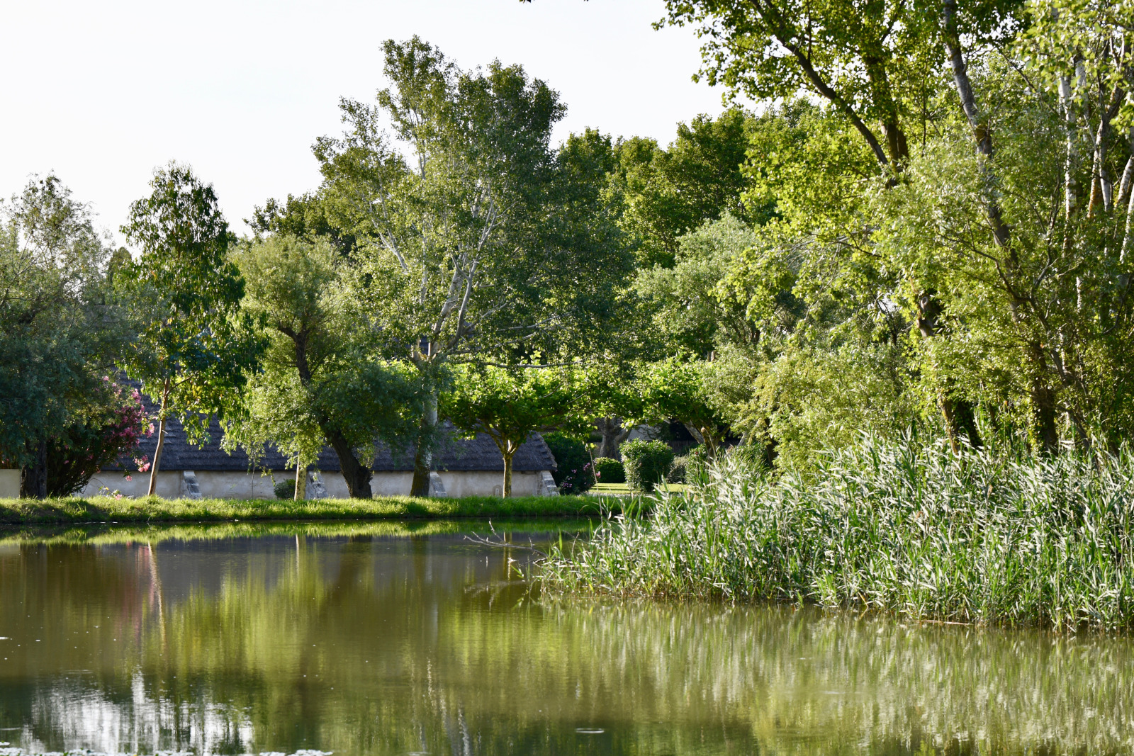 garden with pond Mas de Peint Camargue France
