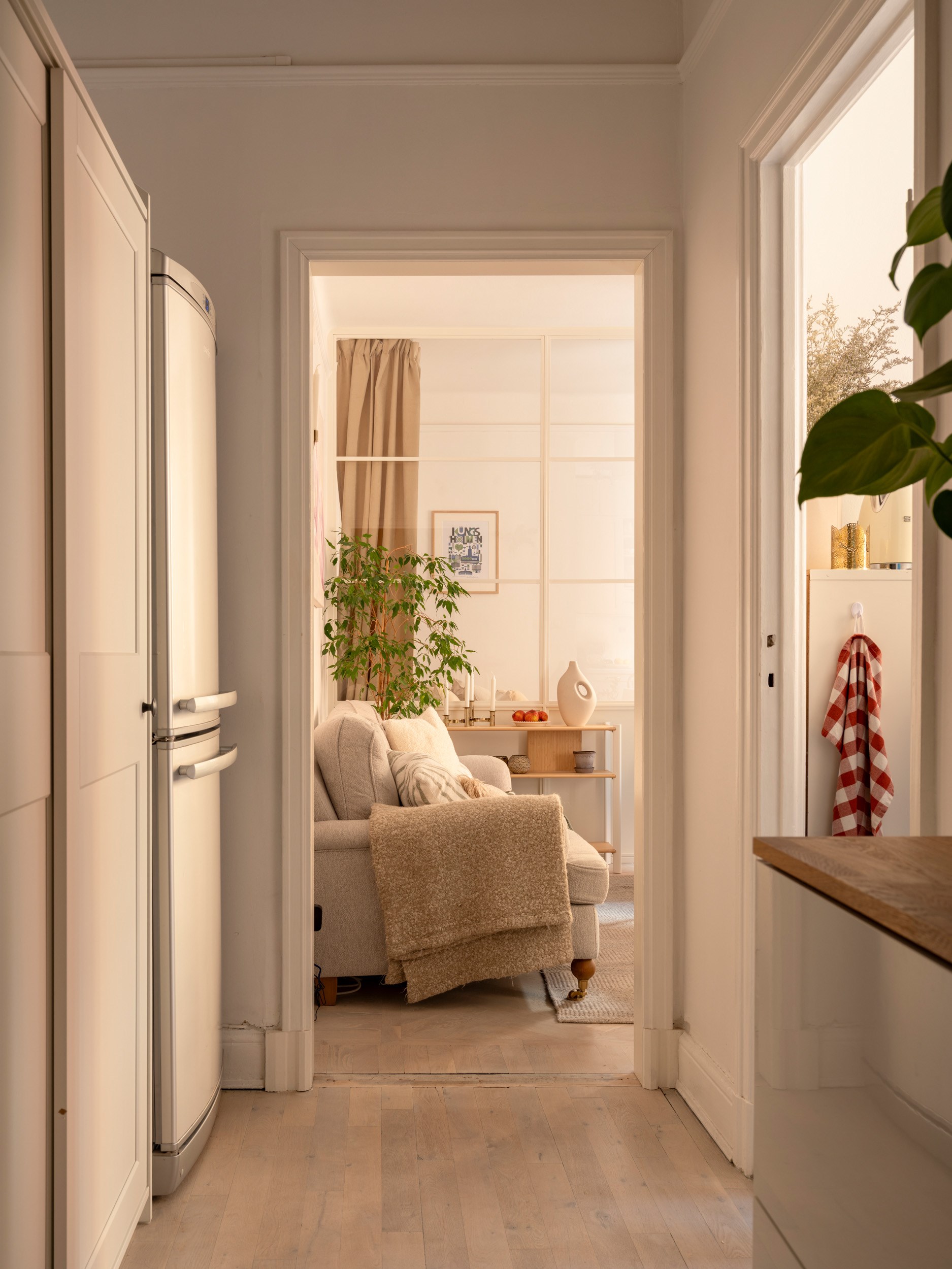 entrée et salon avec verrière blanche décoration scandinave et classique studio 37m2 entrée et salon avec verrière blanche décoration scandinave et classique studio 37m2