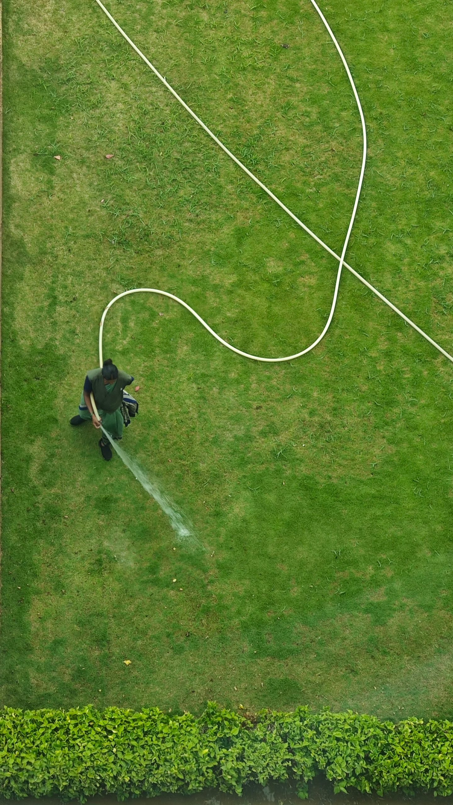 hydroseeding pour nouvelle pelouse
