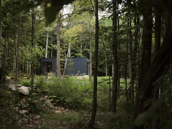 maison en bois contemporaine façade noire