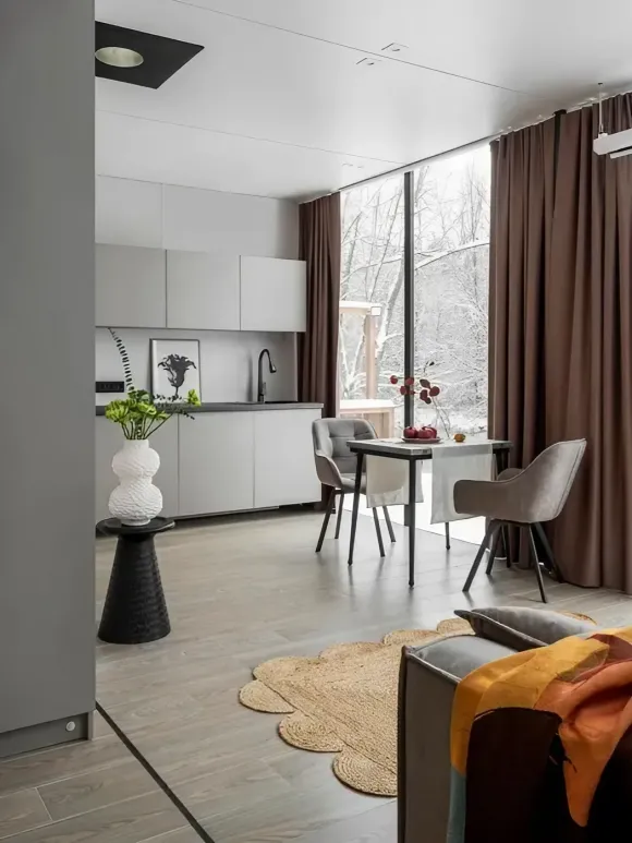 cuisine et salon décoration design grise petite maison miroir de 36m2