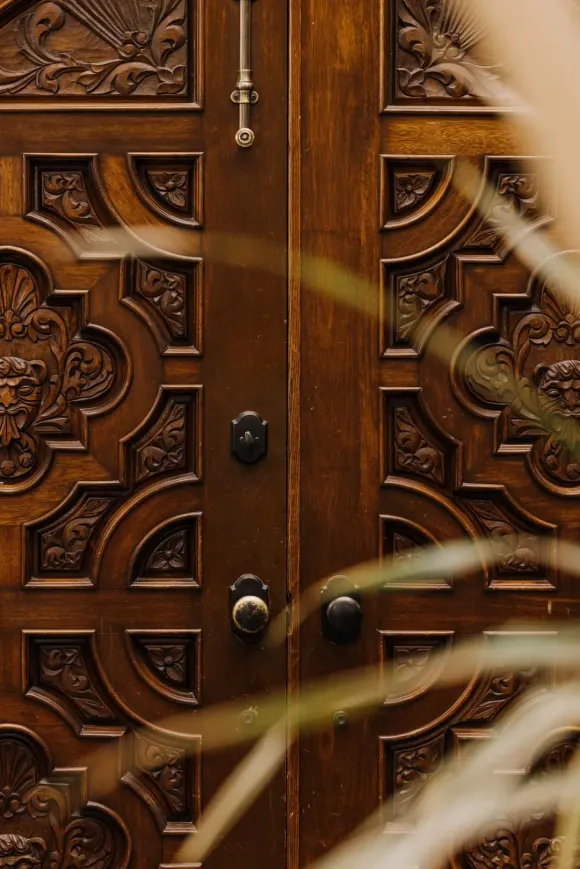 porte entrée bois massif