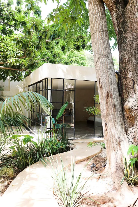 jardin maison Mexique