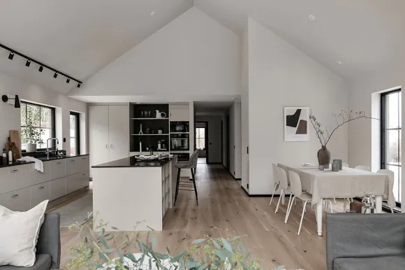 salon avec cuisine ouverte