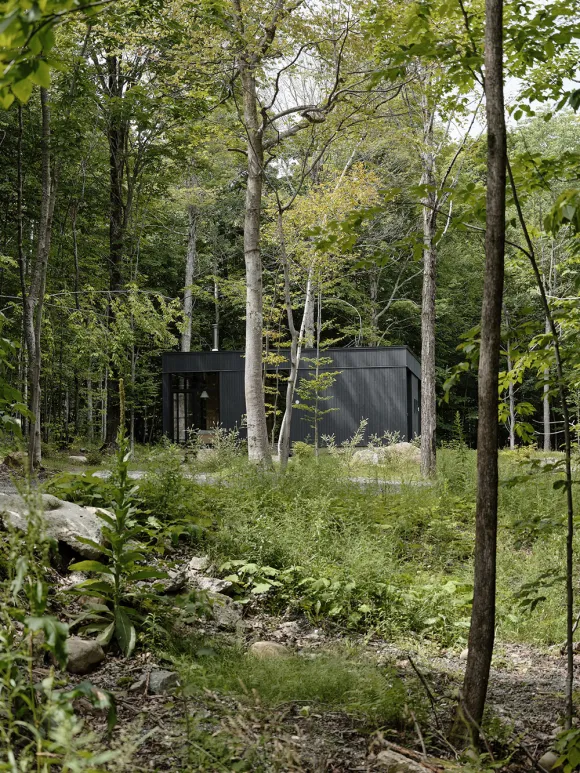 maison en bois contemporaine façade noire