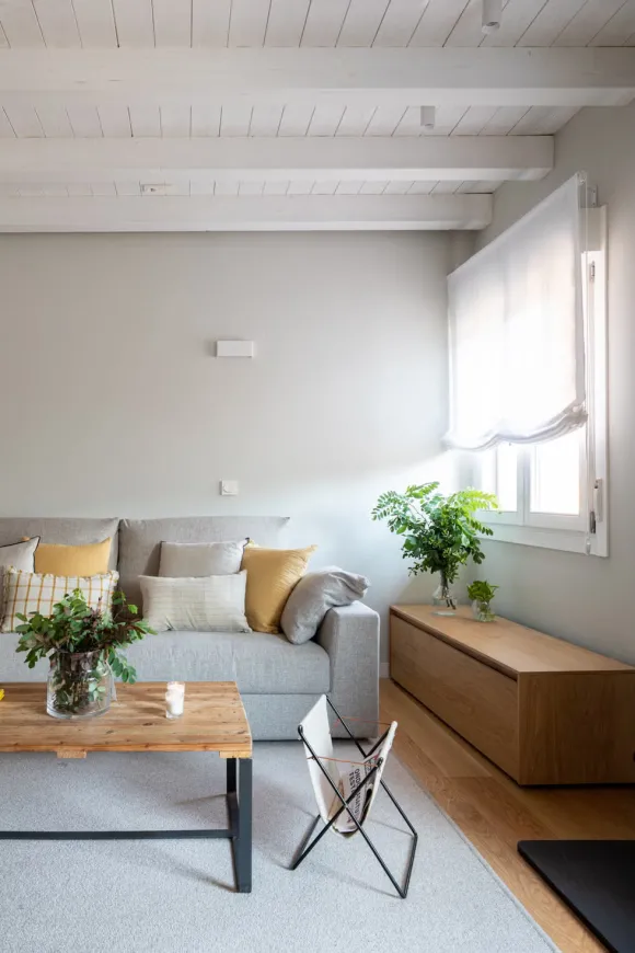 salon avec canapé gris décoration contemporaine