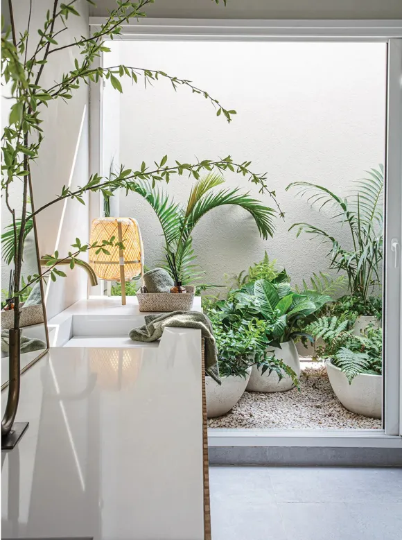 salle de bain avec patio 