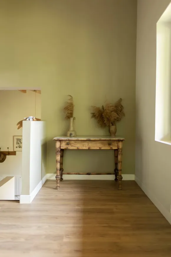 salon mur vert