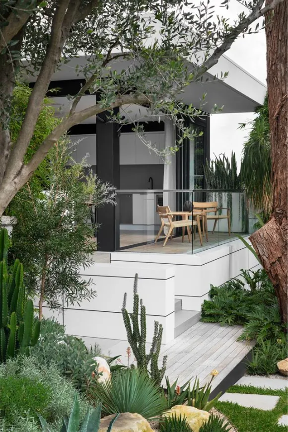 maison architecte avec jardin plantes grasses