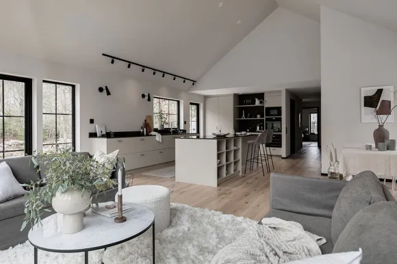 salon design avec cuisine ouverte